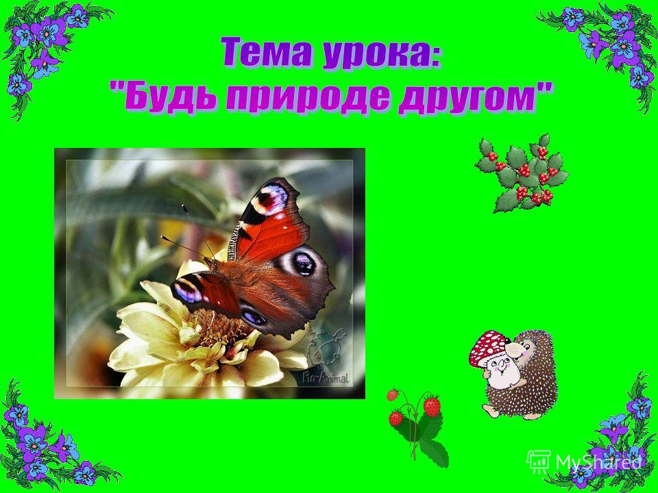Картинки берегите природу нельзя рвать Картинки берегите природу нельзя рвать