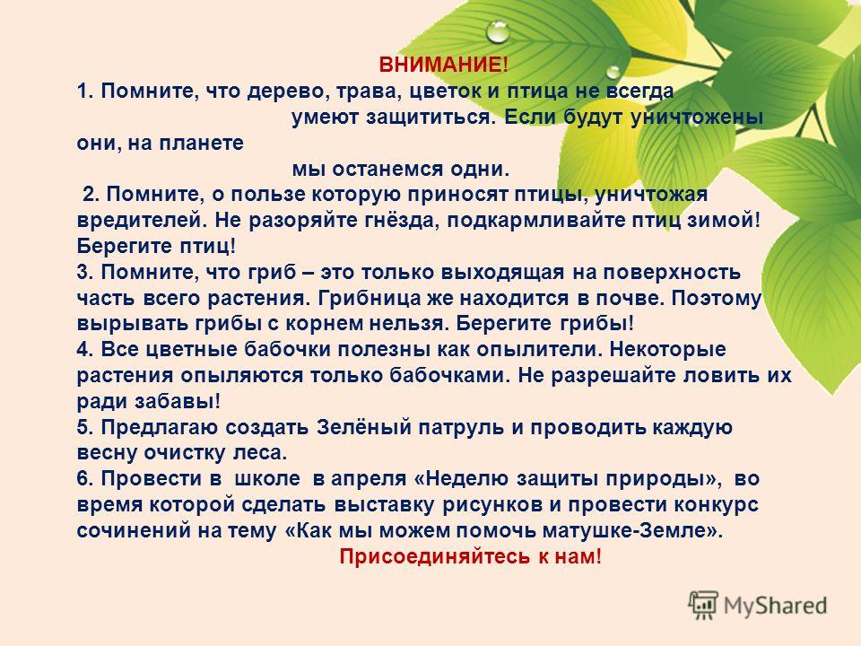 Экологический конкурс твой след на планете Экологический конкурс твой след на планете