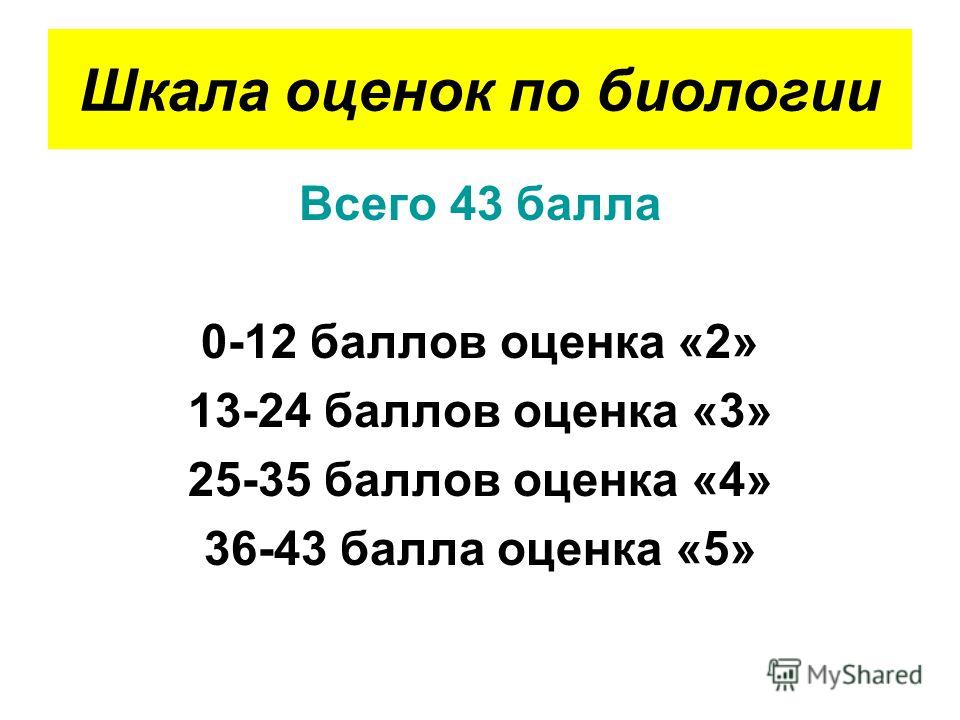 Оценка По Биологии