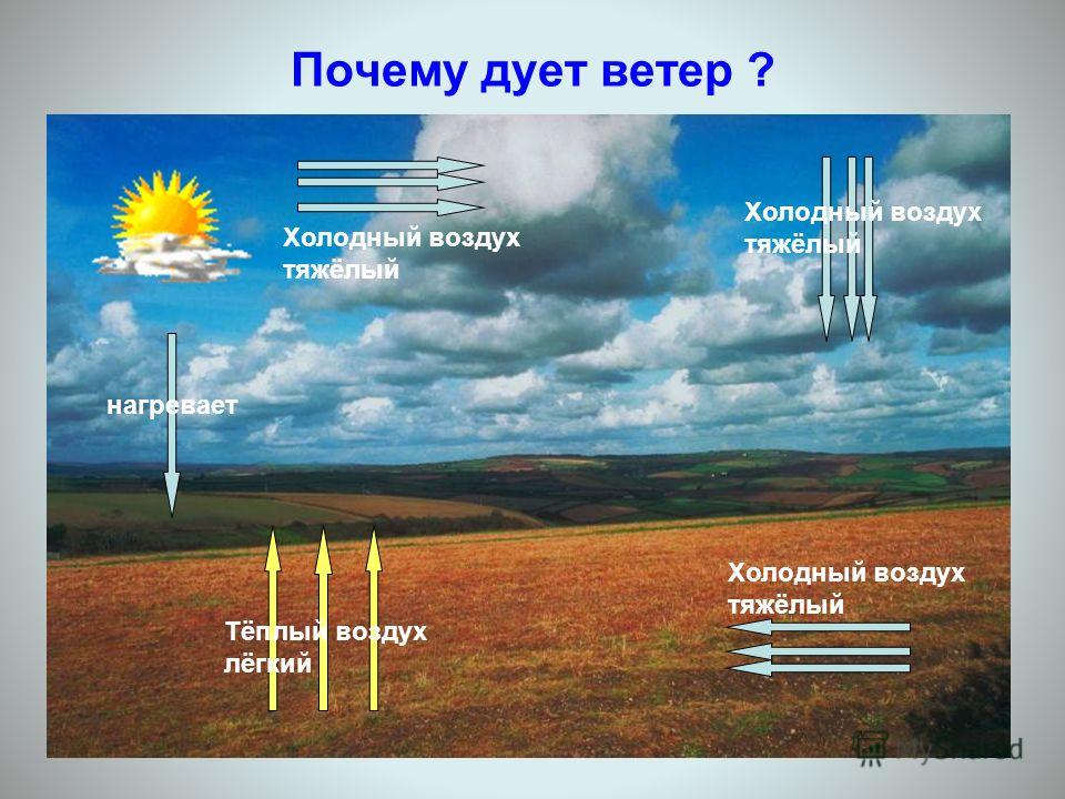 Конкурс шляпок в пятигорске 2018 Конкурс шляпок в пятигорске 2018