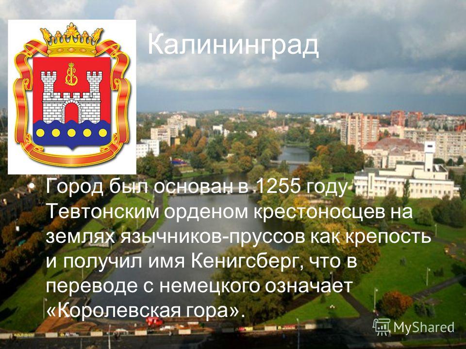 Проект был основан в