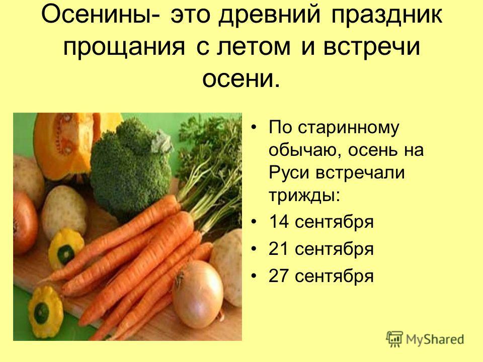 http://images.myshared.ru/6/558201/slide_3.jpg