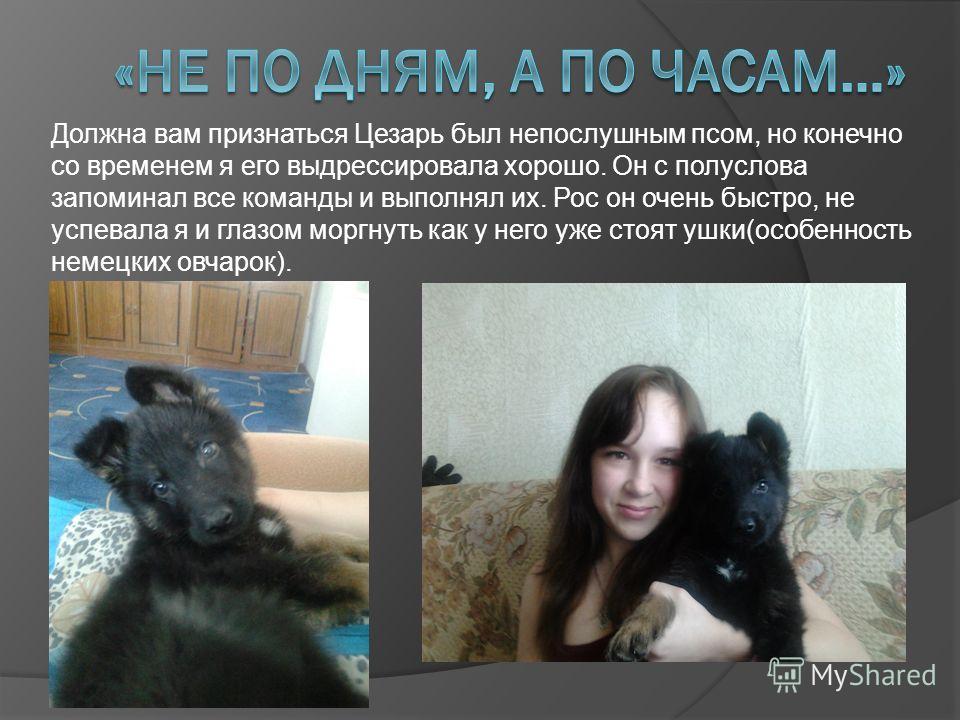 что кушать чтобы похудел живот что кушать чтобы похудел живот