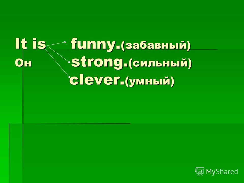 Скачать бесплатно презентацию по английскому языку 6 класс люблю мою собаку