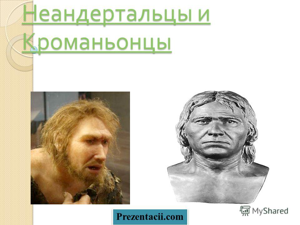 Фото дайнеко пластика носа