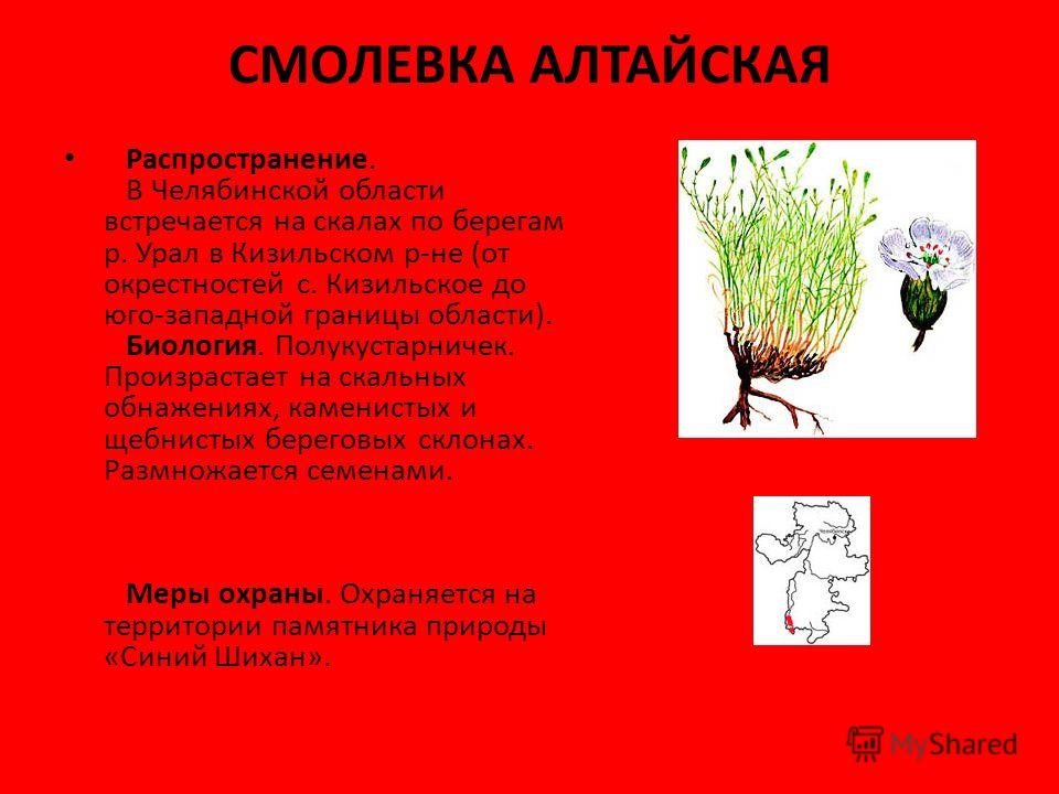 Π·Π½Π°ΠΊΠΎΠΌΡΡΠ²Π° ΠΏΠΎ ΡΠ΅Π»ΡΠ±ΠΈΠ½ΡΠΊΠΎΠΉ ΠΎΠ±Π»Π°ΡΡΠΈ Π±Π΅ΡΠΏΠ»Π°ΡΠ½ΠΎ Π·Π½Π°ΠΊΠΎΠΌΡΡΠ²Π° ΠΏΠΎ ΡΠ΅Π»ΡΠ±ΠΈΠ½ΡΠΊΠΎΠΉ ΠΎΠ±Π»Π°ΡΡΠΈ Π±Π΅ΡΠΏΠ»Π°ΡΠ½ΠΎ