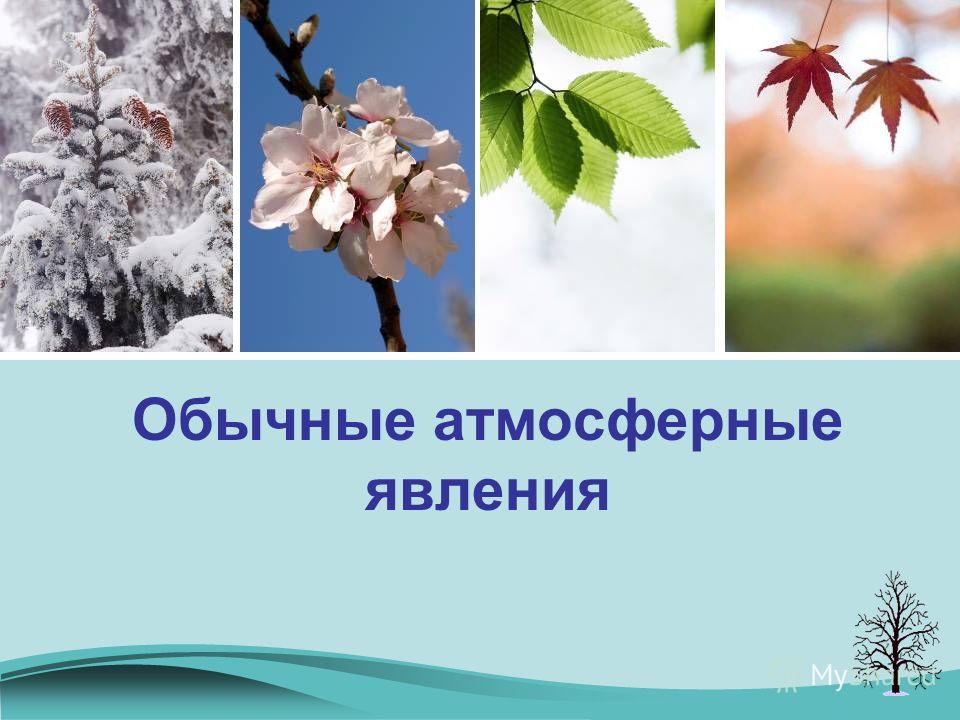 Звуки природных явлений скачать бесплатно