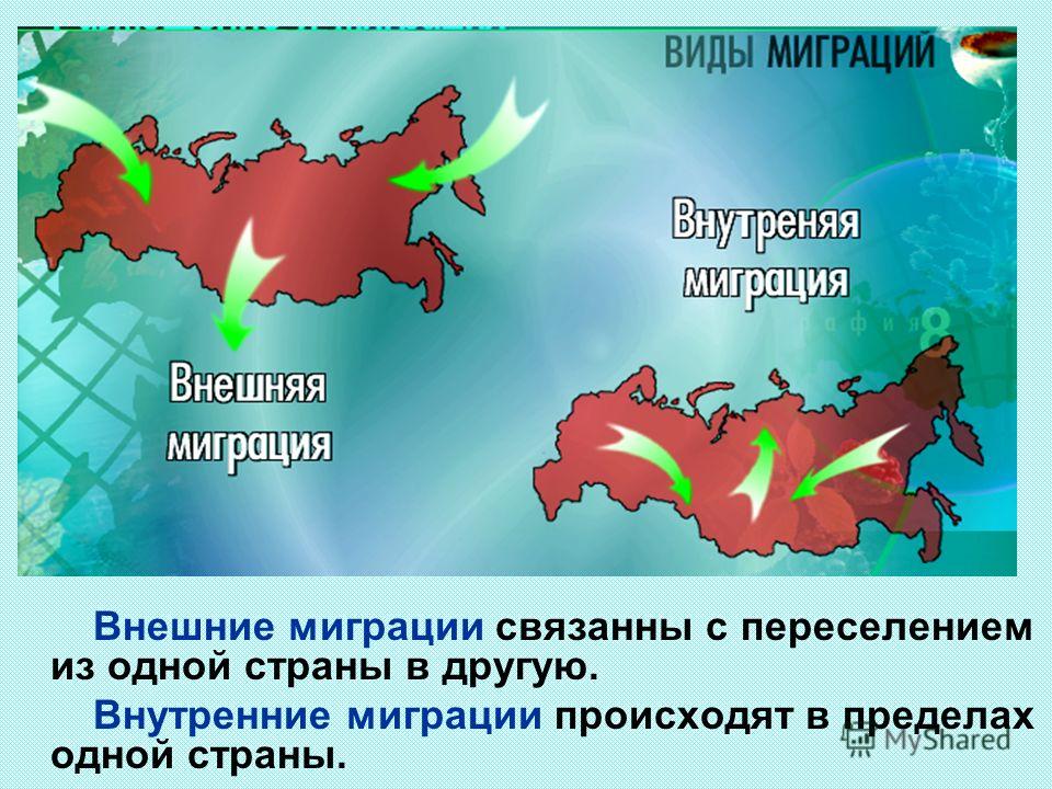 Самодельные ножи ручной работы: разновидности и фото Презентации по технологии для 5 класса Форум