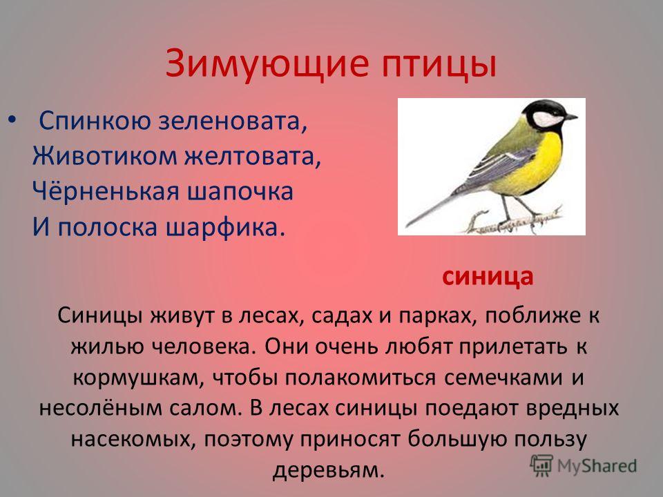Программа 8 Вида Воронкова Программа 8 Вида Воронкова