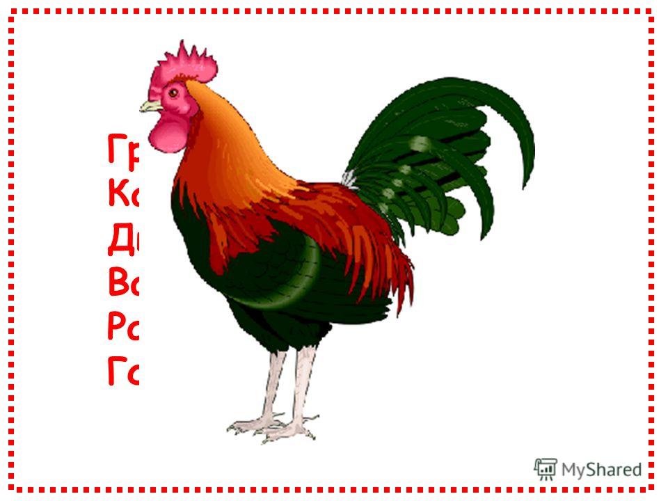 Одежда из монеток загадка Одежда из монеток загадка