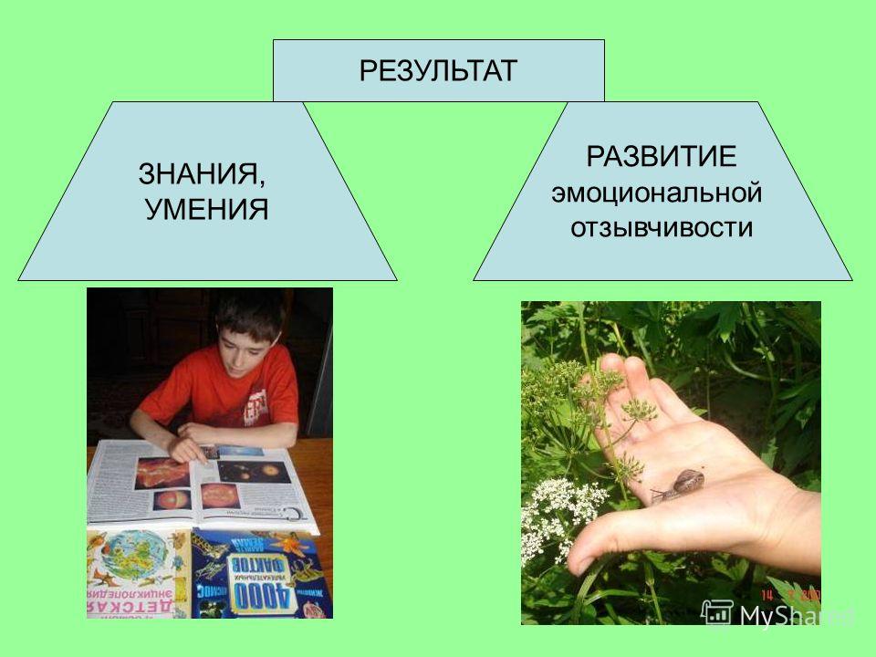 Начальная школа экологические праздники Начальная школа экологические праздники