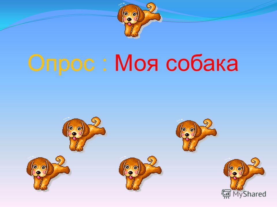 таблетки глистов людей вормил таблетки глистов людей вормил