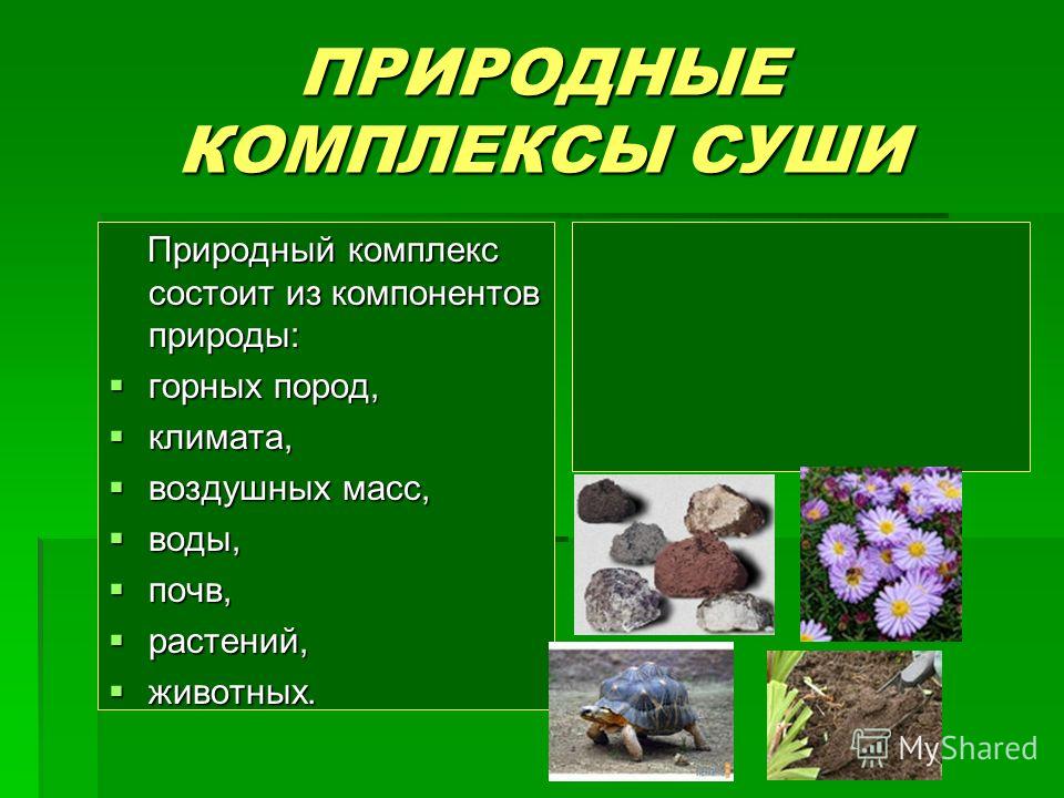 ПРИРОДНЫЕ КОМПЛЕКСЫ СУШИ Природный комплекс состоит из компонентов природы: Природный комплекс состоит из компонентов природы: горных пород, горных пород, климата, климата, воздушных масс, воздушных масс, воды, воды, почв, почв, растений, растений, ж