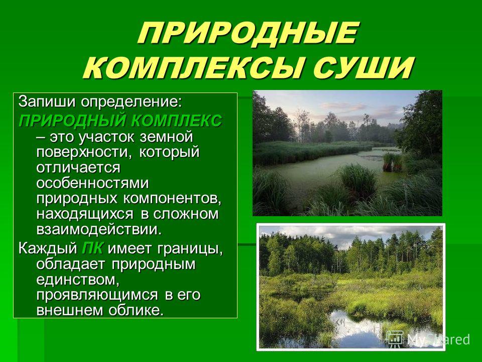 [PUNIQRANDLINE-(au-dating-names.txt) 55 Доклад природные комплексы суши 6932