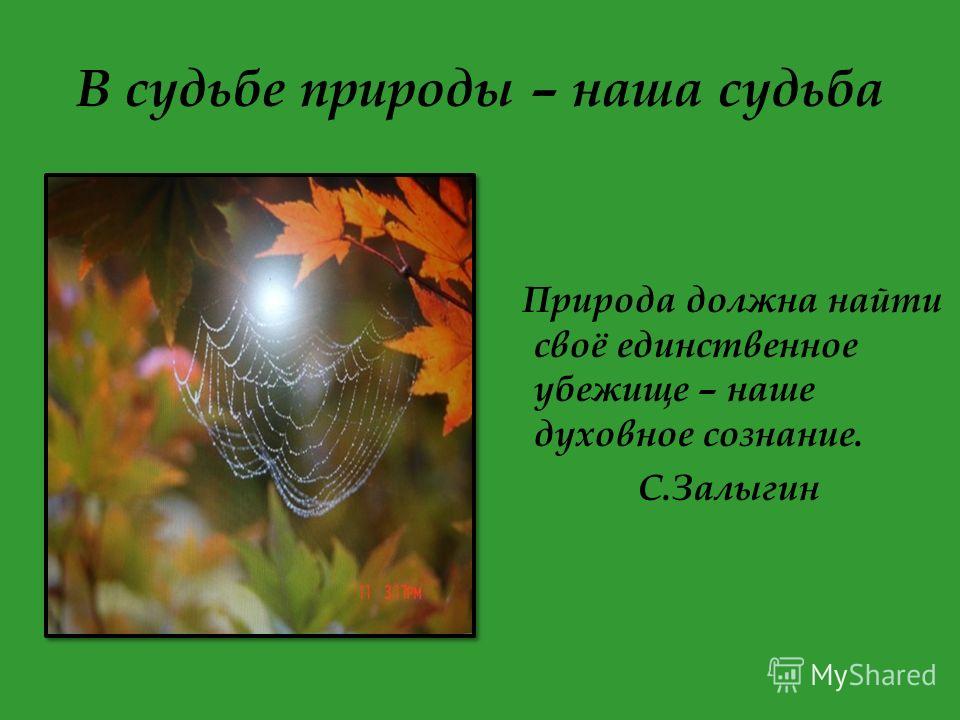 найти картинки природы онлайн найти картинки природы