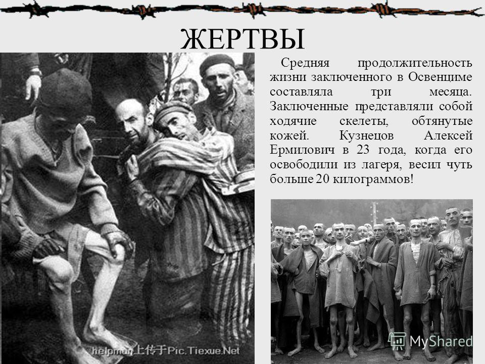 фото жертв освенцима