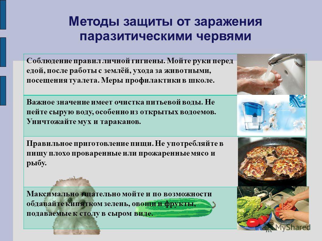 Профилактические меры против гельминтов Профилактические меры против гельминтов