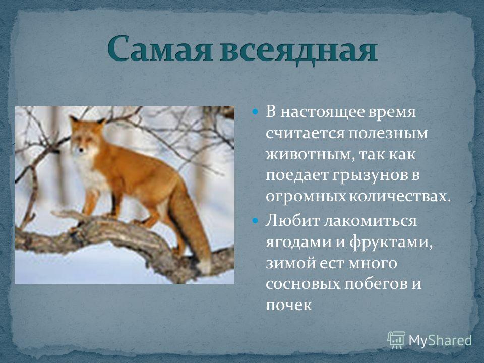 Презентация на тему "Кто что ест?