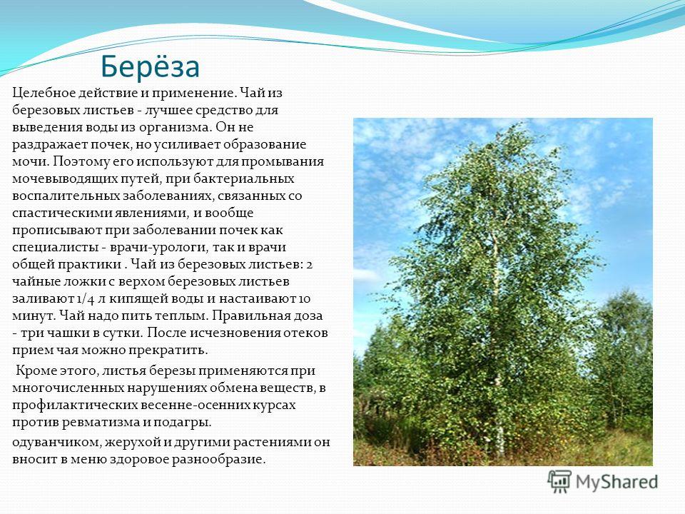 выведение паразитов из организма человека выведение паразитов из организма человека