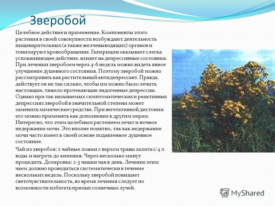 Выращивание перепелов в домашних условиях Подсобное