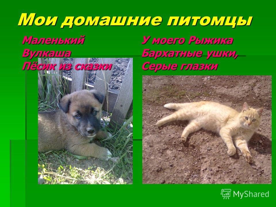 Детство от нас не уходит стих Детство от нас не уходит стих