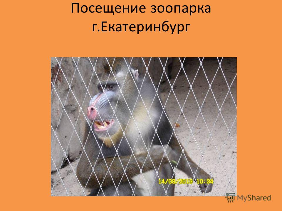 Конкурс этикеток Конкурс этикеток