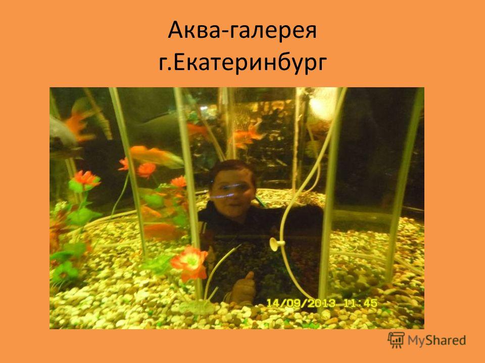 Образование. Воспитателям детских садов, школьным 55 Образование. Воспитателям детских садов, школьным 6