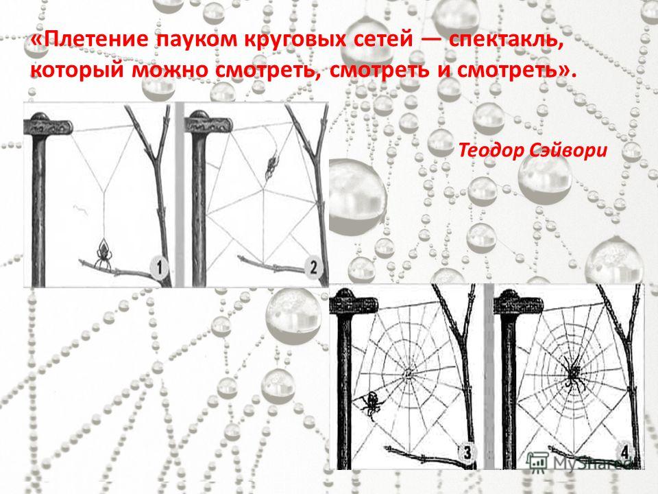 Вязание спицами для мужчин схемы и модели 2014 с описанием Выкройки основы Моделирование выкроек одежды