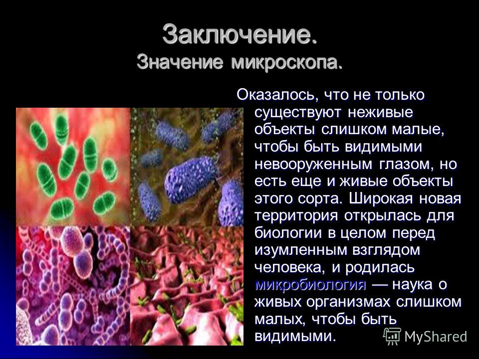 Подготовка к предпрофилю по биологии