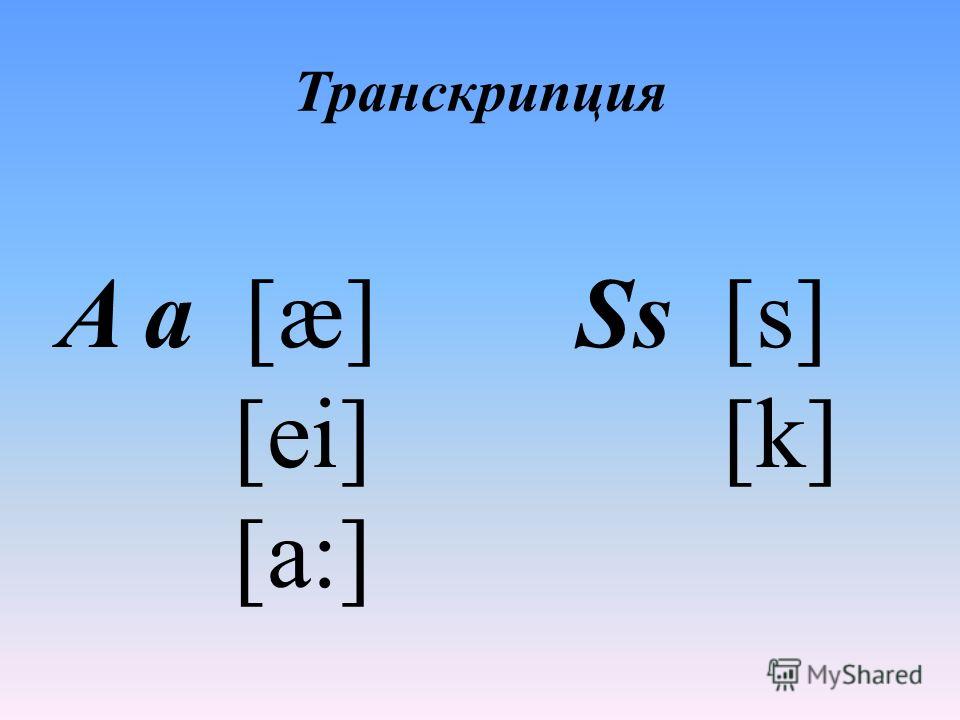 Как сплести мужской ремень в технике макраме. Мастер-класс Как сделать плетень на даче своими руками: мастер-класс