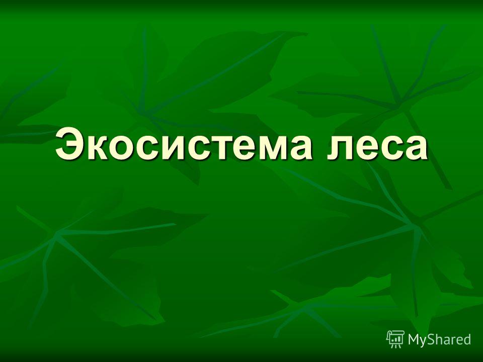 Доклад на тему едоки леса 9036
