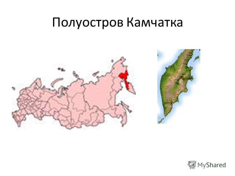 Море омывающее берега полуострова камчатка с севера востока фото YugNash.ru