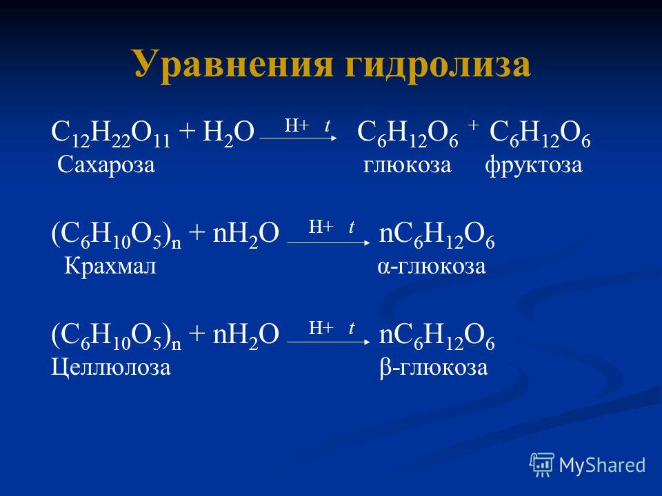 Гидролиз сахарозы гидролиз крахмала