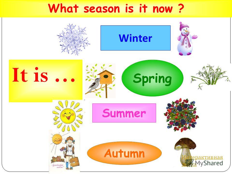 What season is it now ? It is … Winter Spring Summer Autumn Интерактивная доска