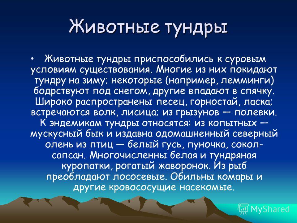 Растительность Тундры Растительность Главная черта тундры безлесие монотонных заболоченных низменностей в условиях сурового климата, высокой относительной влажности, сильных ветров и многолетней мерзлоты. Растения в тундре прижимаются к поверхности п