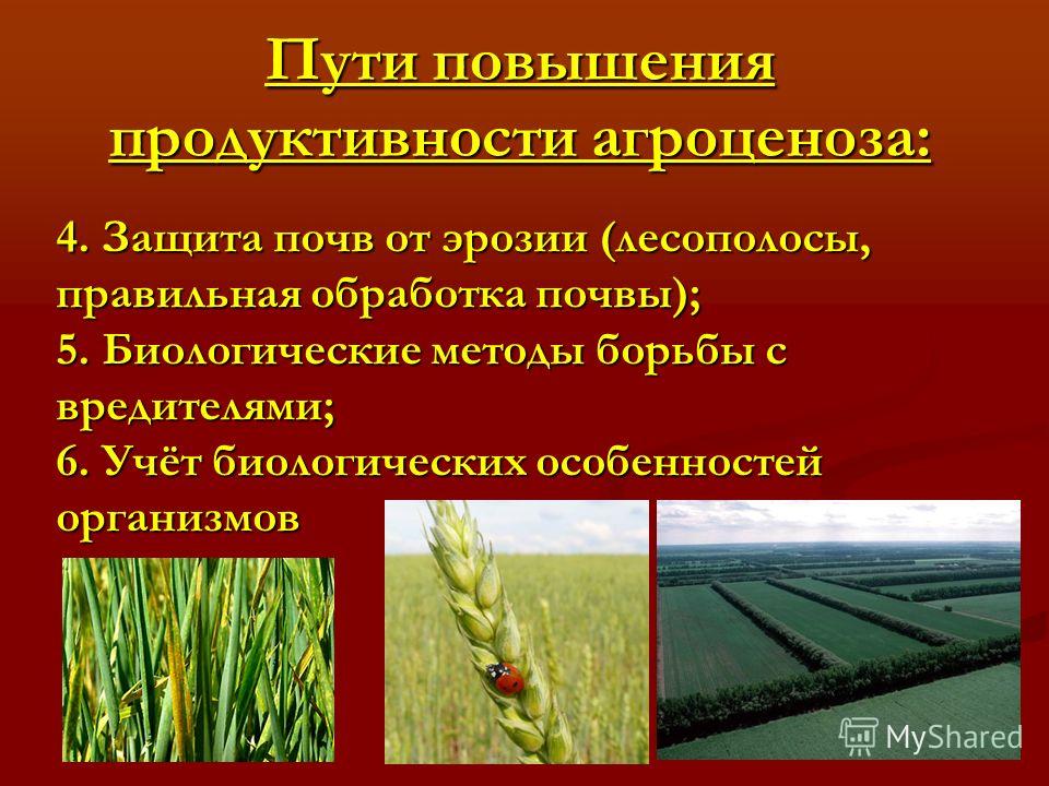 характеристика естественный и искусственные водоемы #1