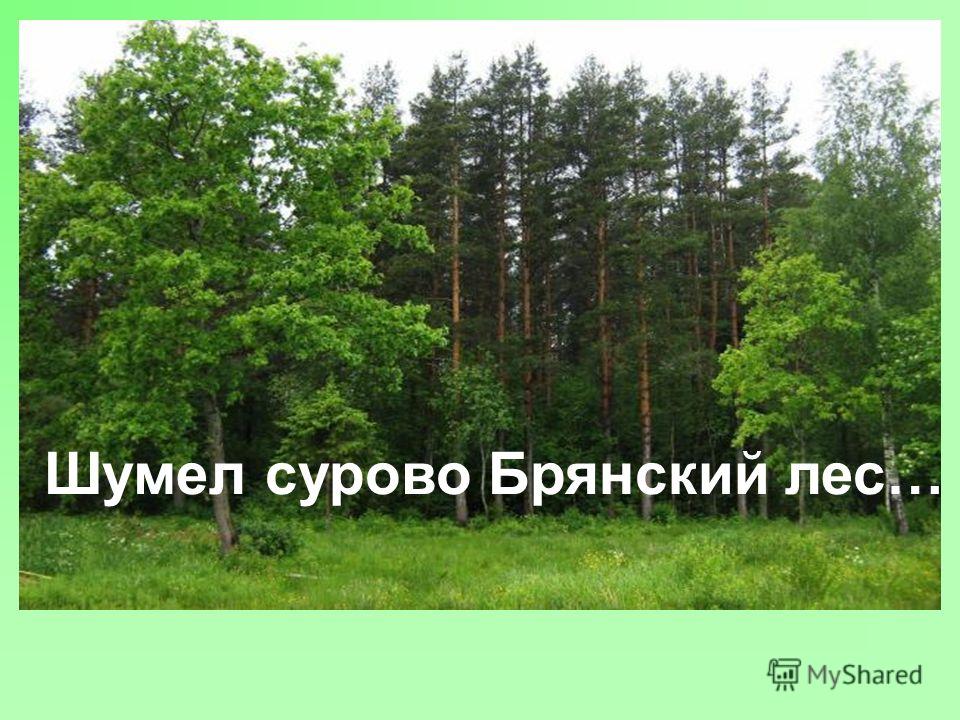 фото шумел сурово брянский лес смотреть