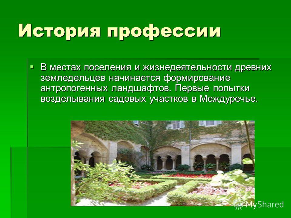 Названия кустарников для ландшафтного дизайна Названия кустарников для ландшафтного дизайна
