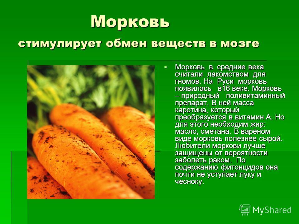 Морковка программа скачать бесплатно