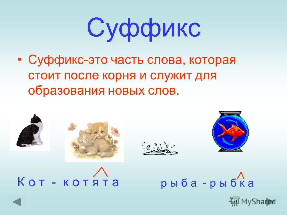 Суффикс котик