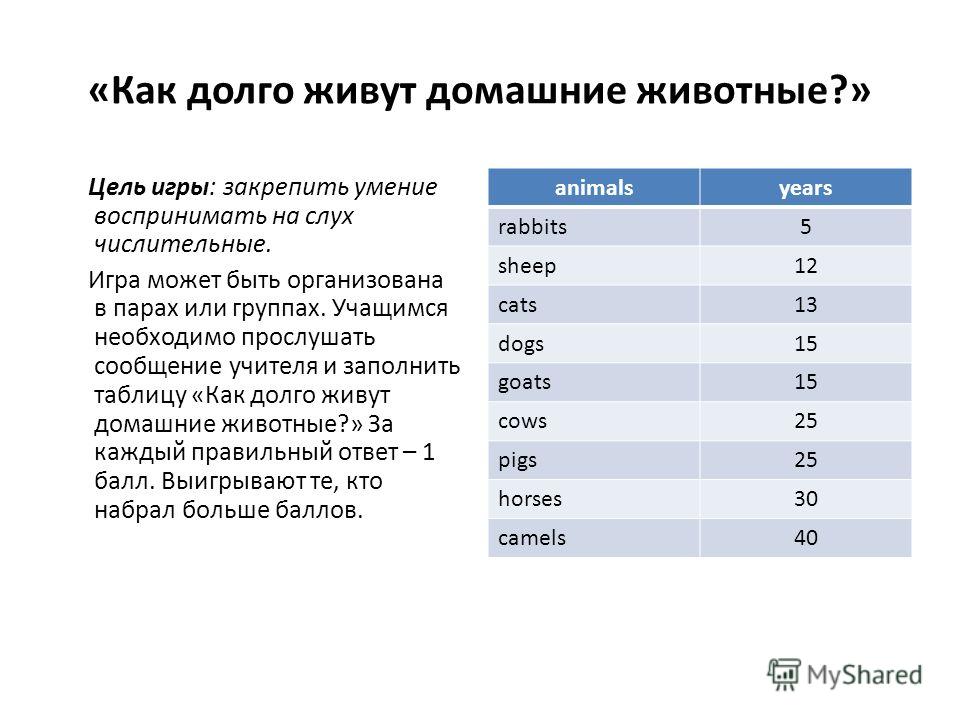 Кто дольше всех живет в домашних условиях Кто дольше всех живет в домашних условиях