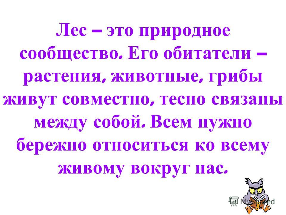 Как животные поля связаны с растениями Как животные поля связаны с растениями