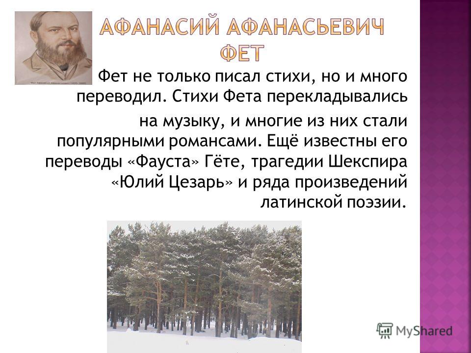 Отзывы на стих фета Отзывы на стих фета