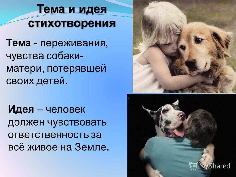 Стих о щенке и маме Стих о щенке и маме