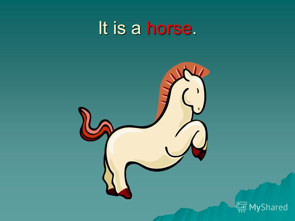 It is a horse.