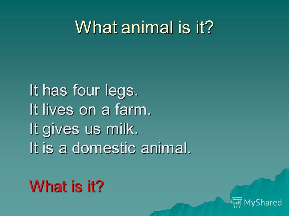 What animal is it? It has four legs. It lives on a farm. It gives us milk. It is a domestic animal. What is it?
