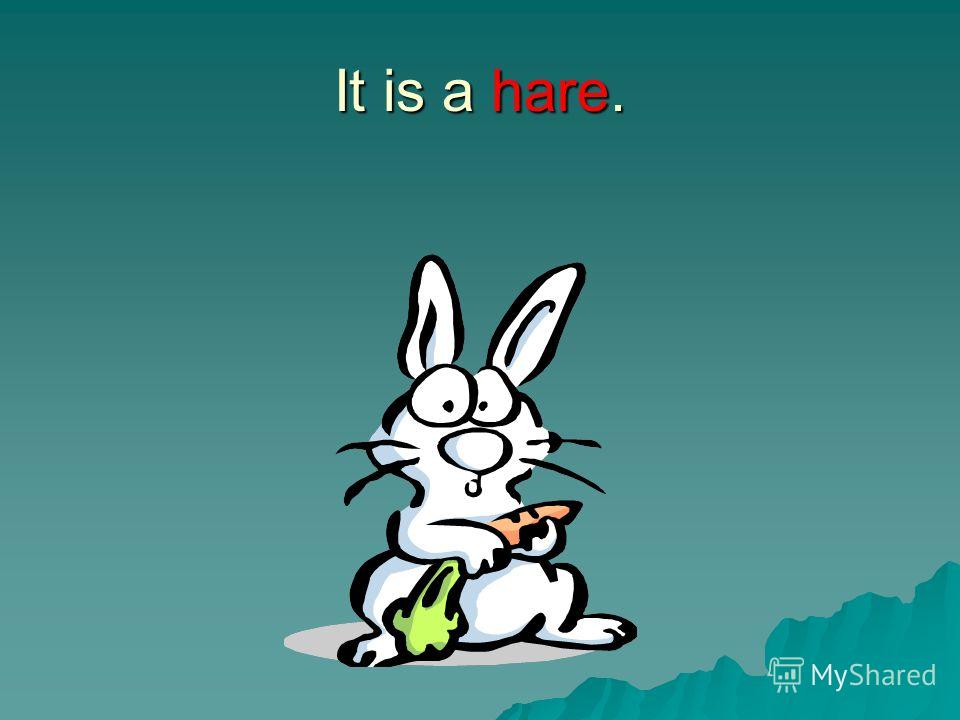 It is a hare.