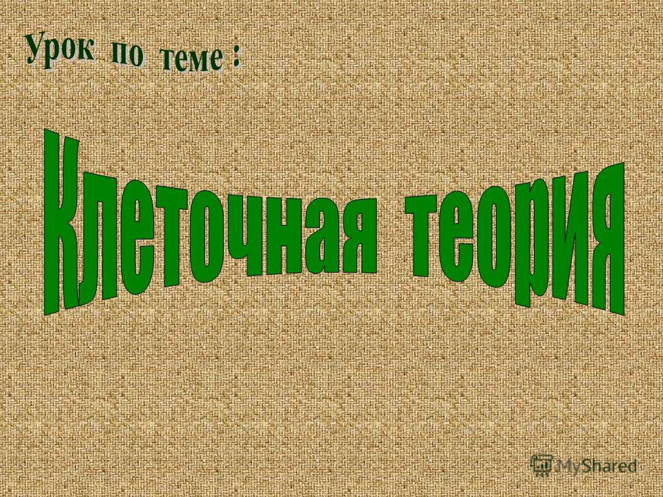 Увеличительные Приборы Презентация 5 Класс.Rar Увеличительные Приборы Презентация 5 Класс.Rar
