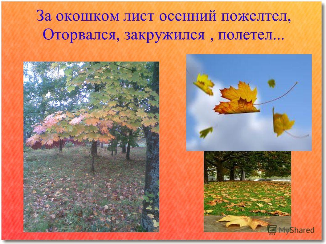 Сочинение По Фото Опавшие Осенние Листья
