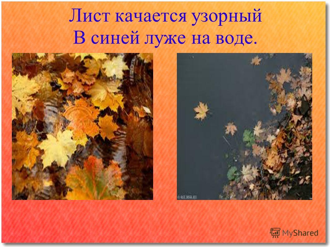 Фото Осенних Листьев В Луже
